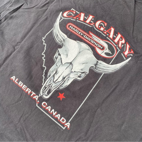 2008 Harley-Davidson Calgary - Picture 4 of 6